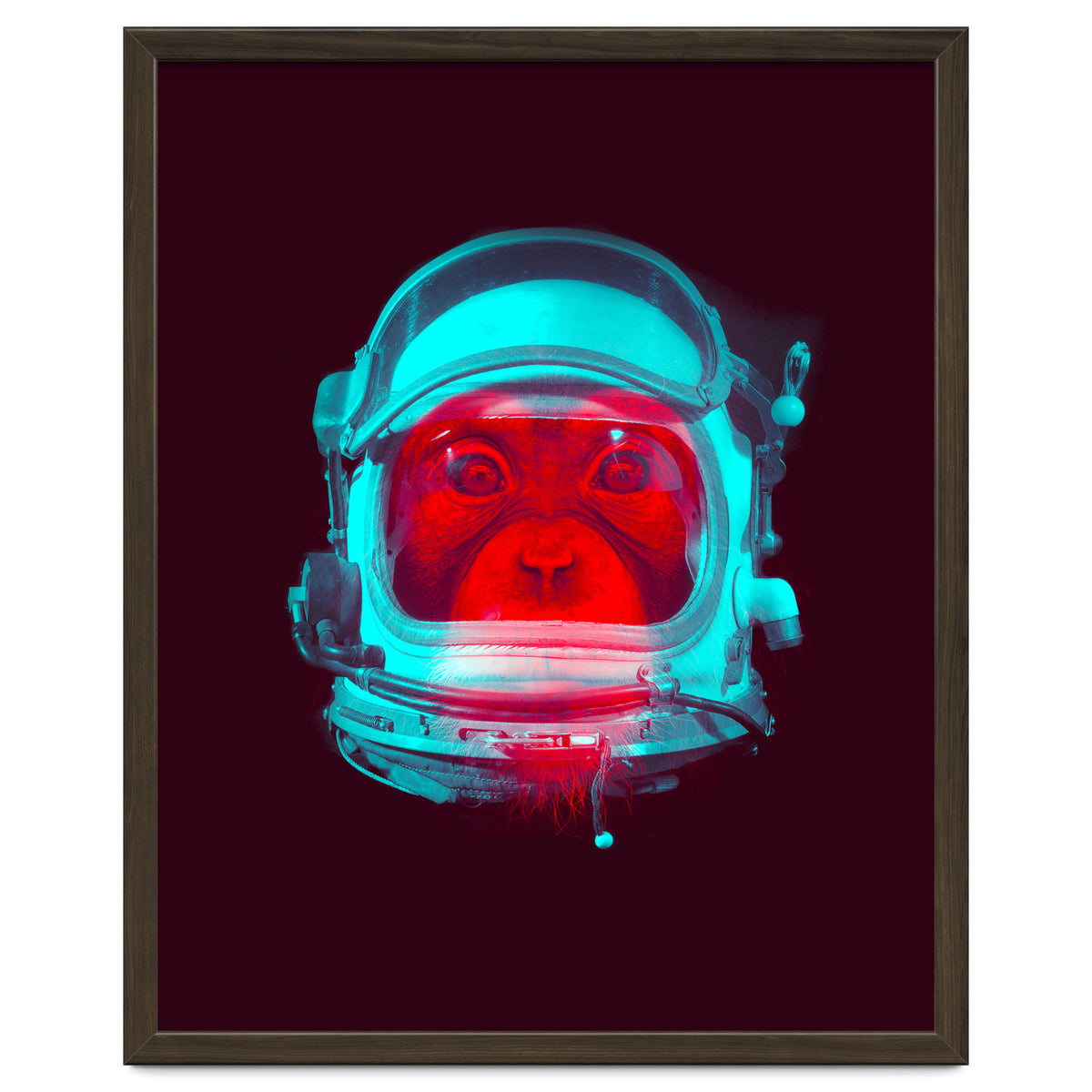 Astronaut
