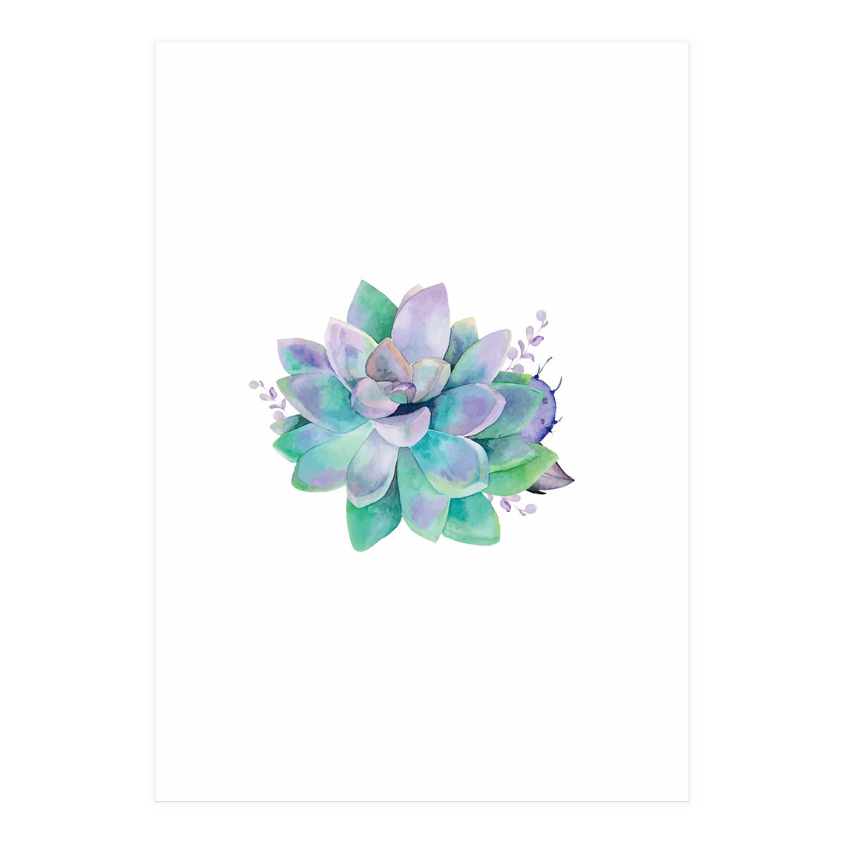 Aqua Succulent (Print Only)
