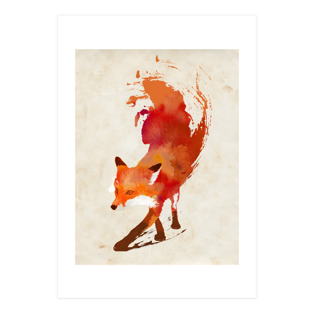 Vulpes Vulpes (Print Only)