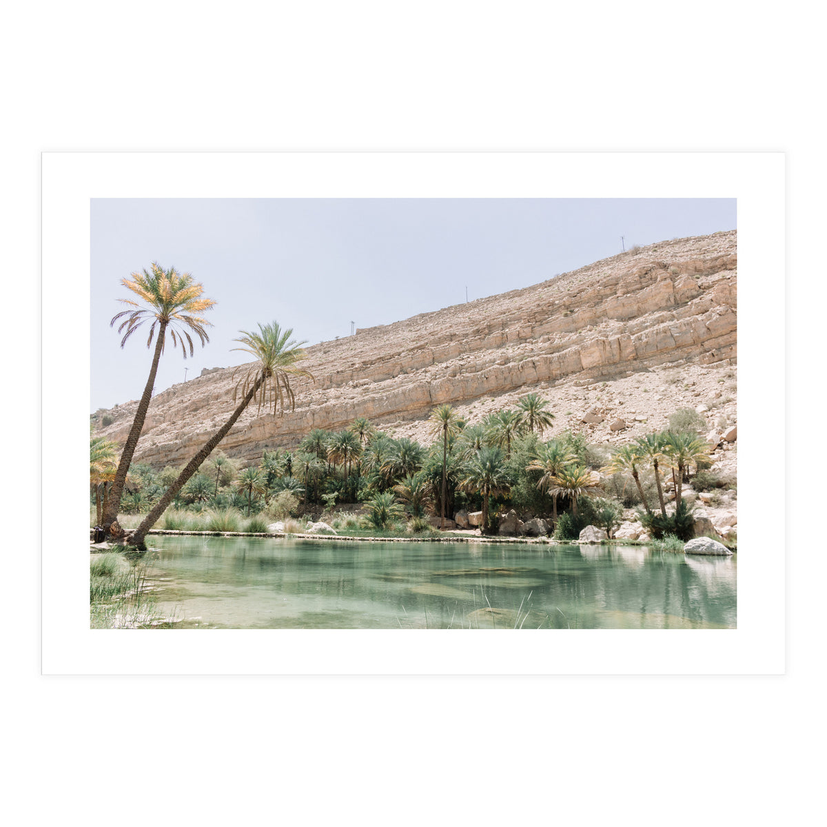 Tropical Oasis (Print Only)