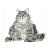 Fatcatred (Print Only) thumbnail