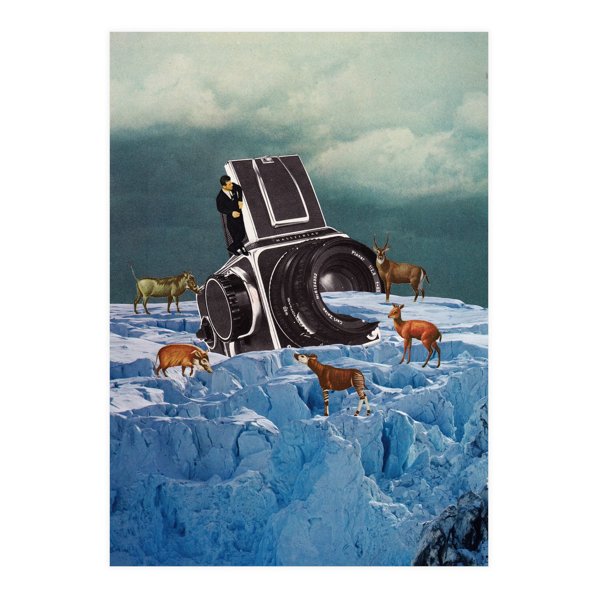 Cameraman (Print Only)