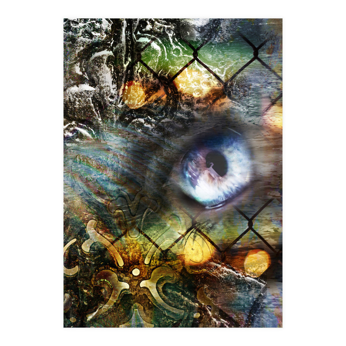 Perceptions (Print Only)