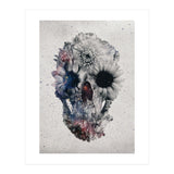 Floral Skull 2 (Print Only) thumbnail