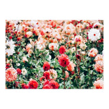 Meadow (Print Only) thumbnail