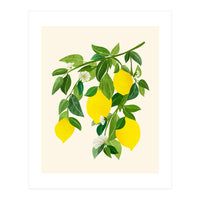 Sunny Lemons (Print Only)