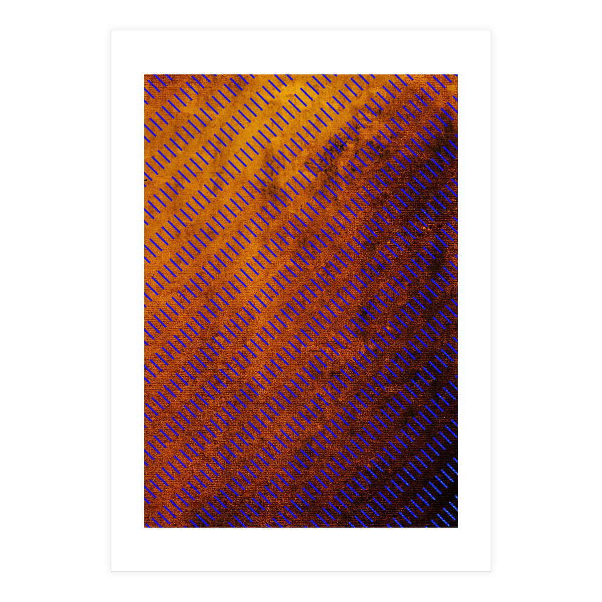 2 Edit Fire (Print Only)