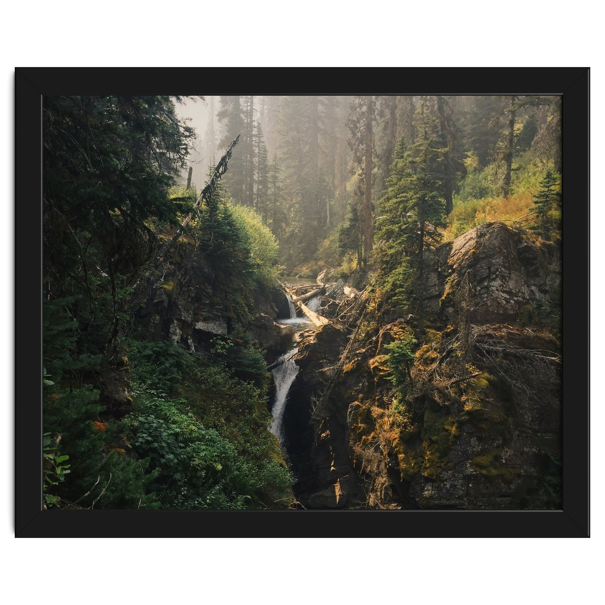 Glacier National Park I