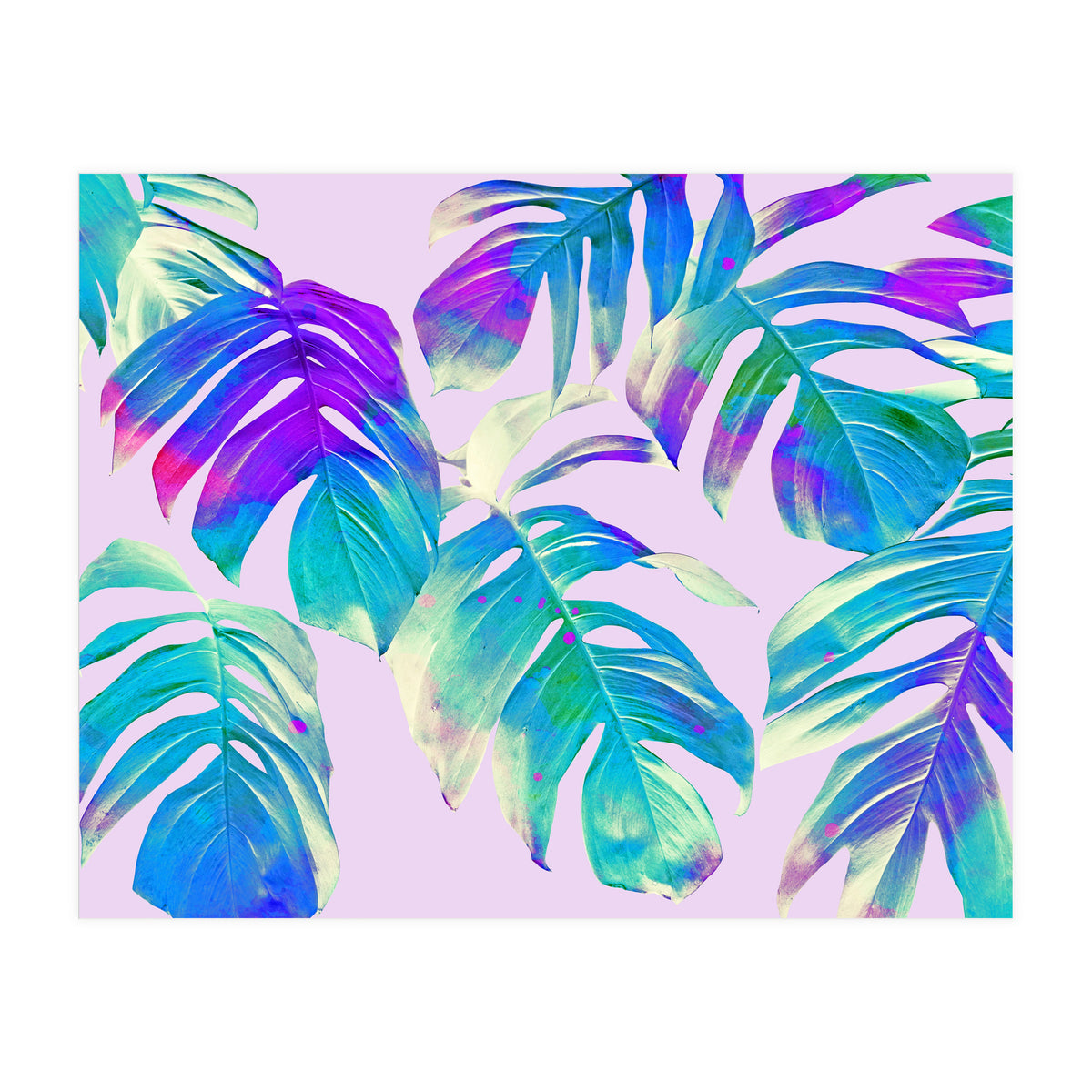 Monstera Leaves (Print Only)