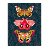 Lepidoptery Study No. 4 (Print Only) thumbnail