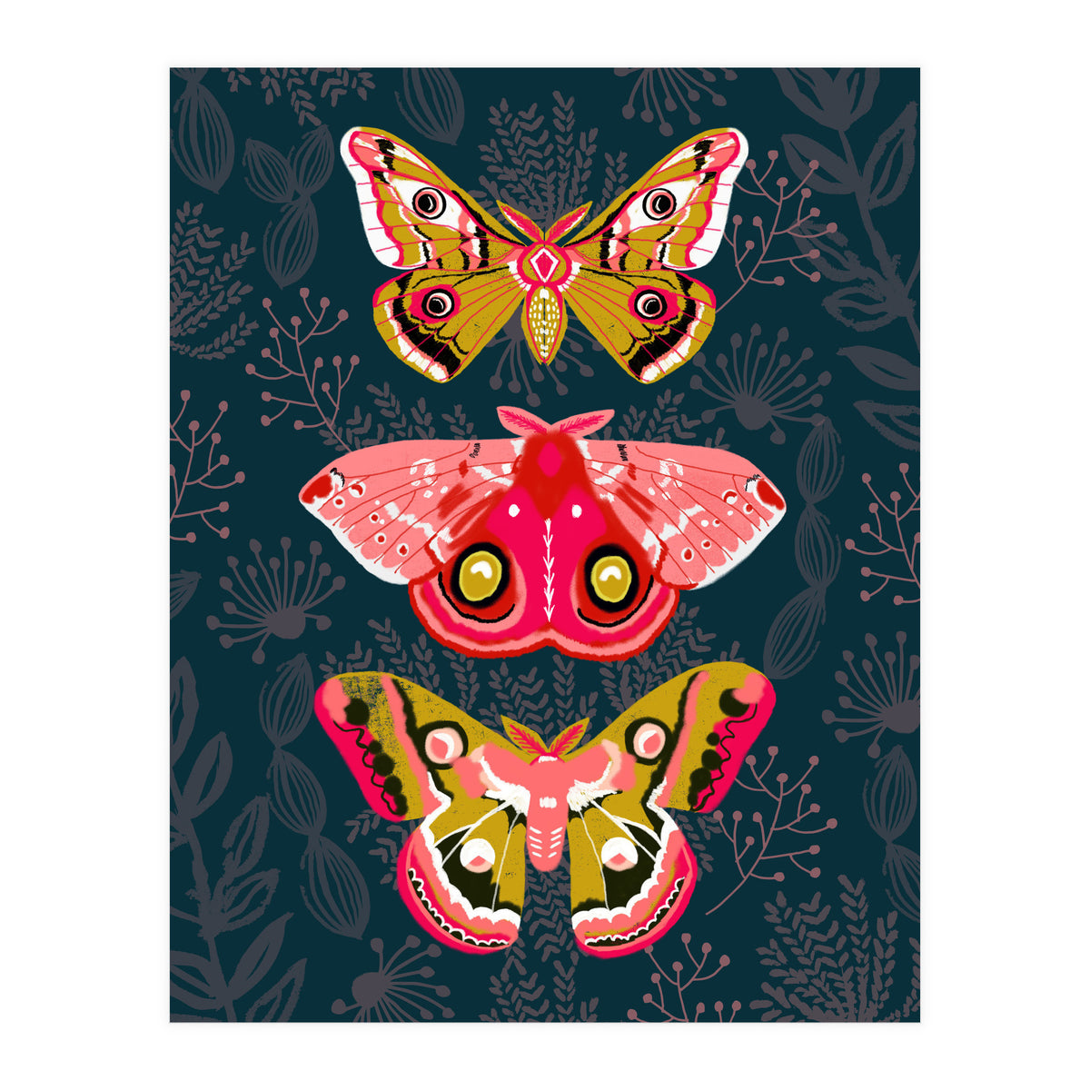 Lepidoptery Study No. 4 (Print Only)