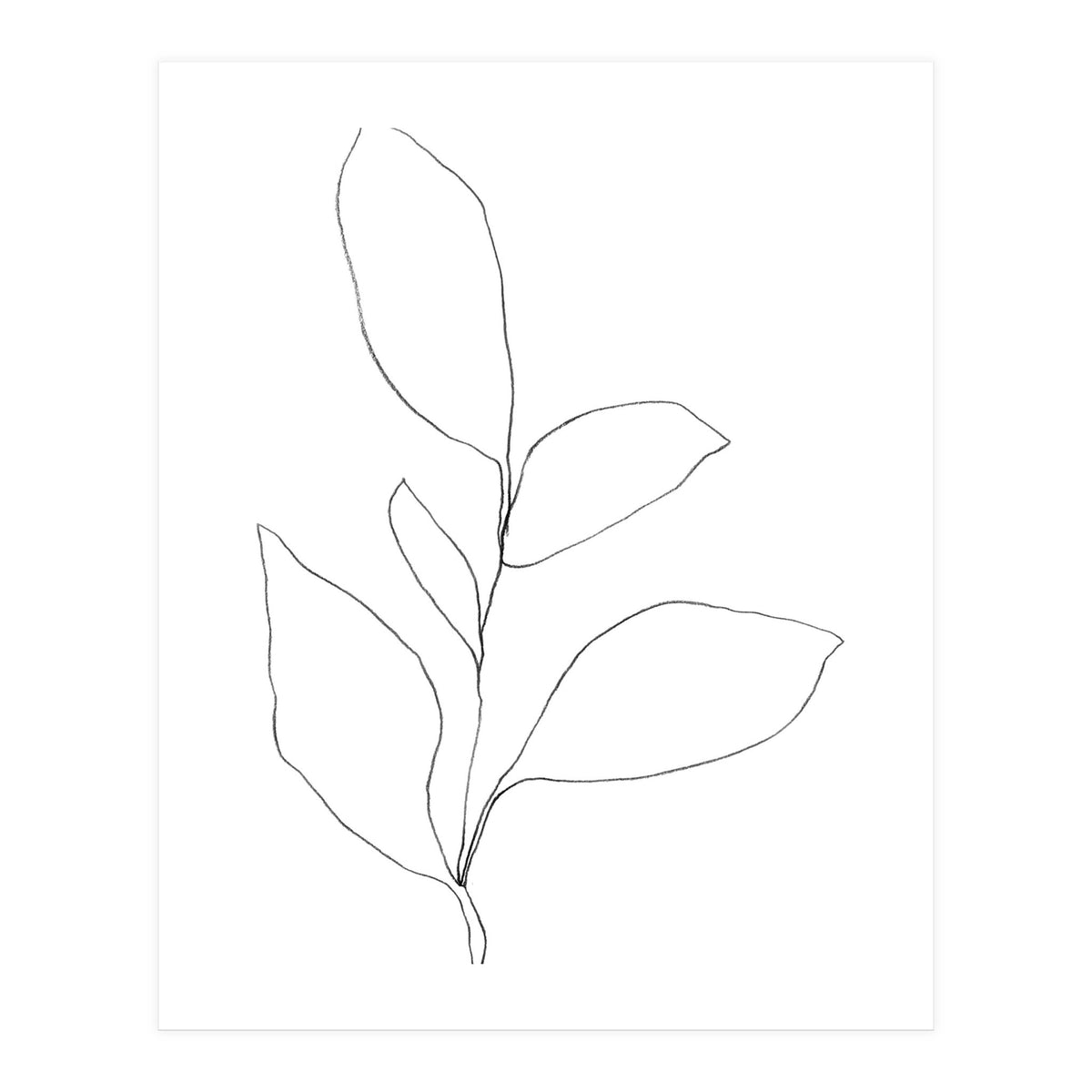 Five Leaf Plant (Print Only)