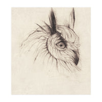 Owl (Print Only)