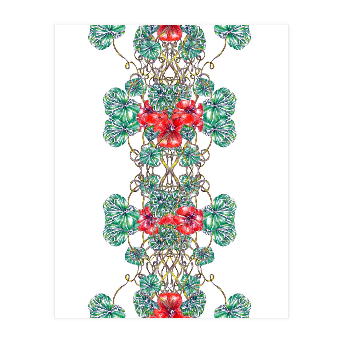 Nasturtiums  (Print Only)