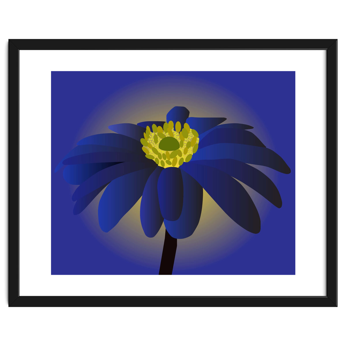 Anemone Blanda Flower Art