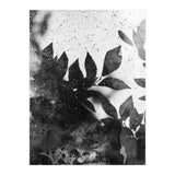 Leaves #1 (Print Only) thumbnail