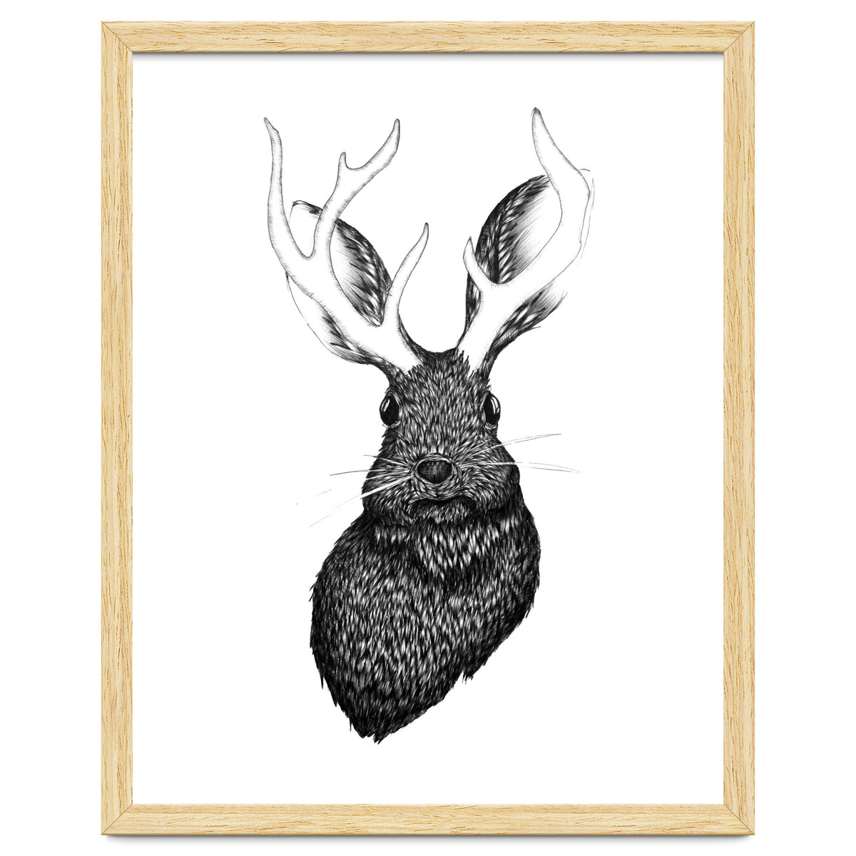 Jackalope