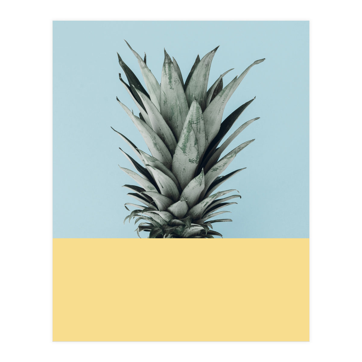 Scandinavian pineapple III (Print Only)