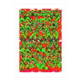 New Graffiti B 41 (Print Only) thumbnail