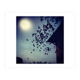 Free Birds (Print Only) thumbnail