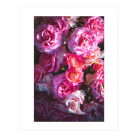 Rose Flowers  (Print Only)
