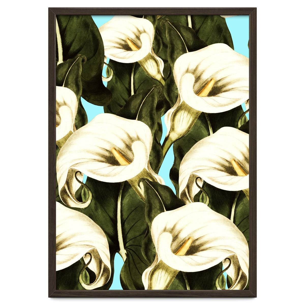 Pattern floral Ethiopian-Calla
