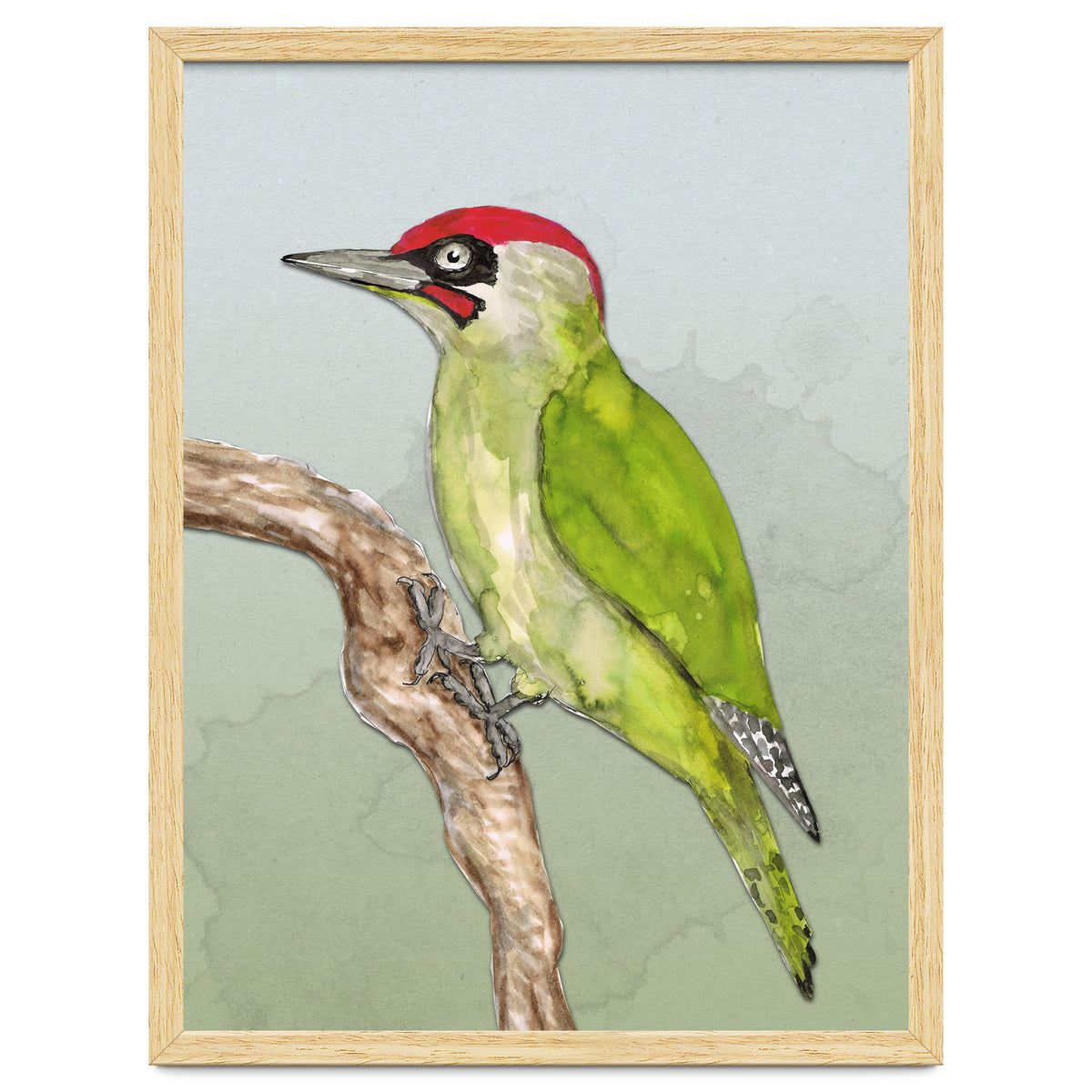 Green woodpecker