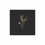 Golden Botanicals -  Square (Print Only) thumbnail