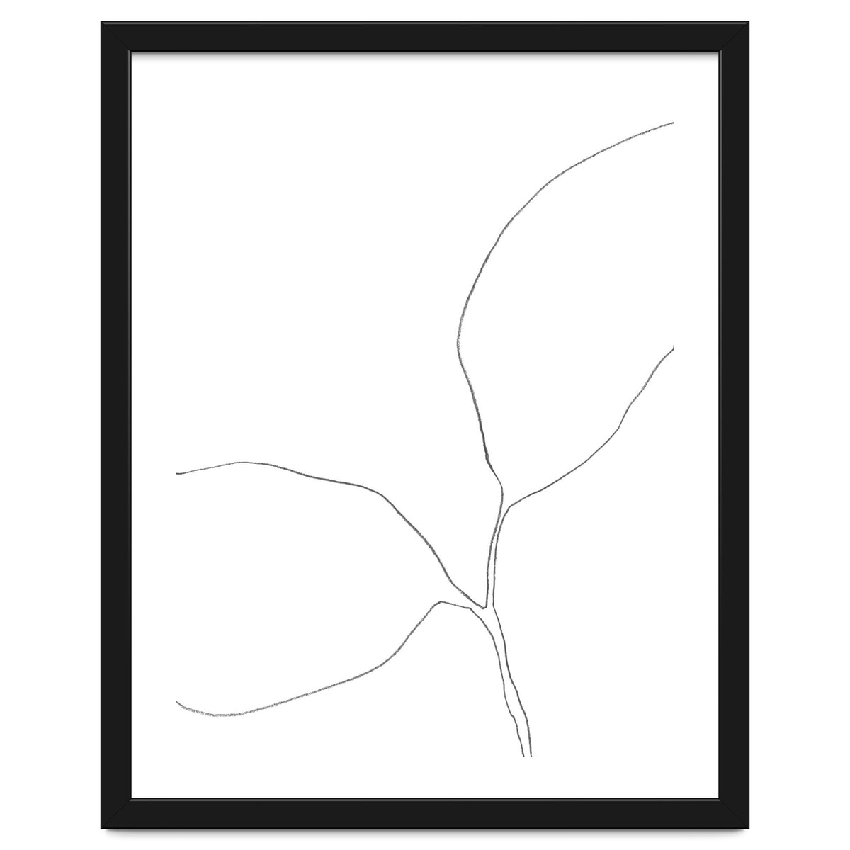 Seedling Leaning Left