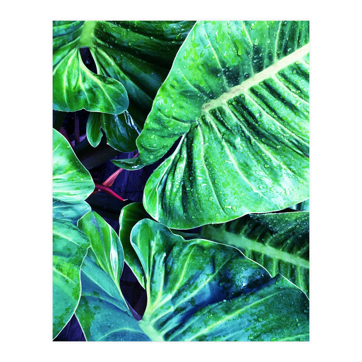 Another Botanical (Print Only)