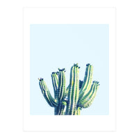 Cactus (Print Only)