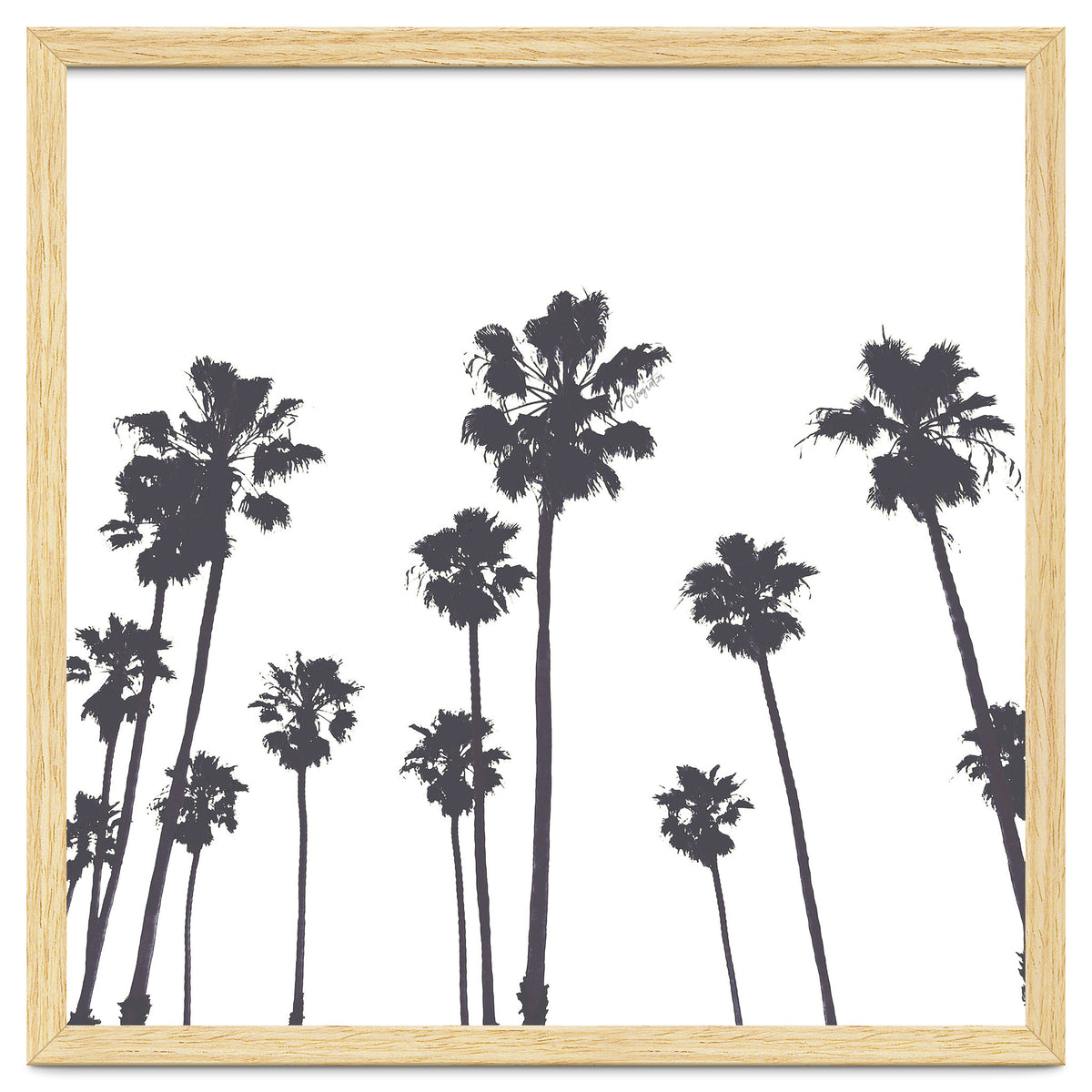 Palms & Sunset-Minimal B&W