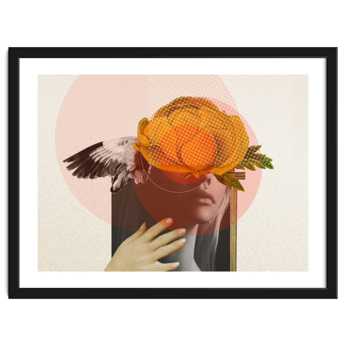 Dreamland Division · C