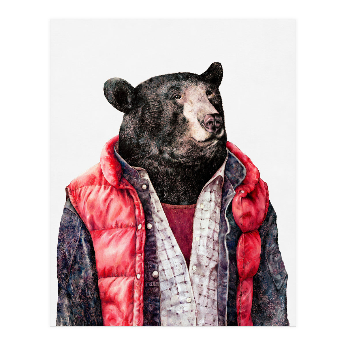 Black Bear (Print Only)