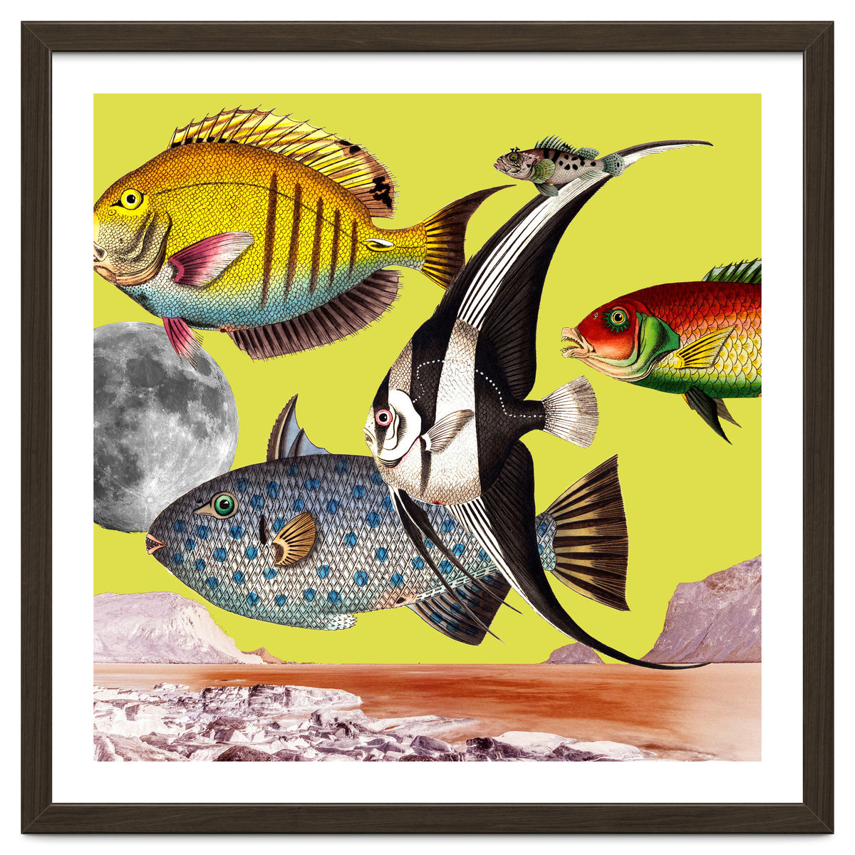 Plenty Of Fish In The Sea Yellow