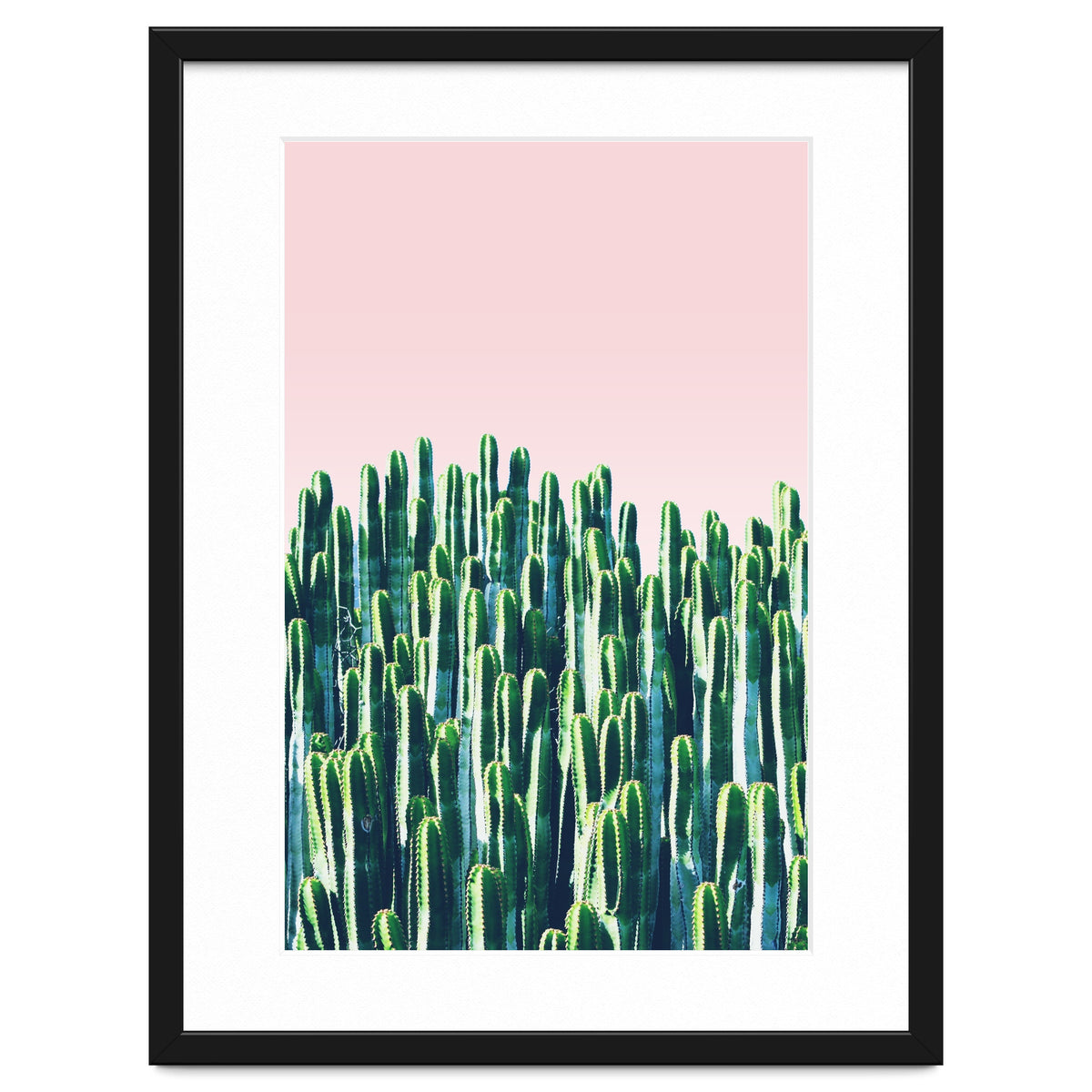 Cactus & Sunset II
