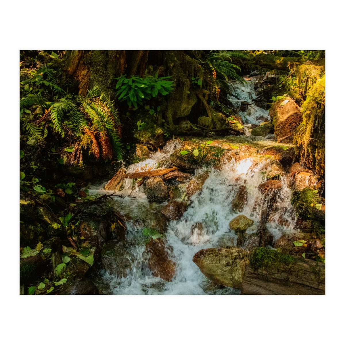 Baker Waterfall (Print Only)