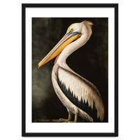 Pelican Oil Painting