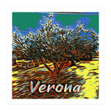 Colorful Olive tree in Verona, Italy. (Print Only) thumbnail
