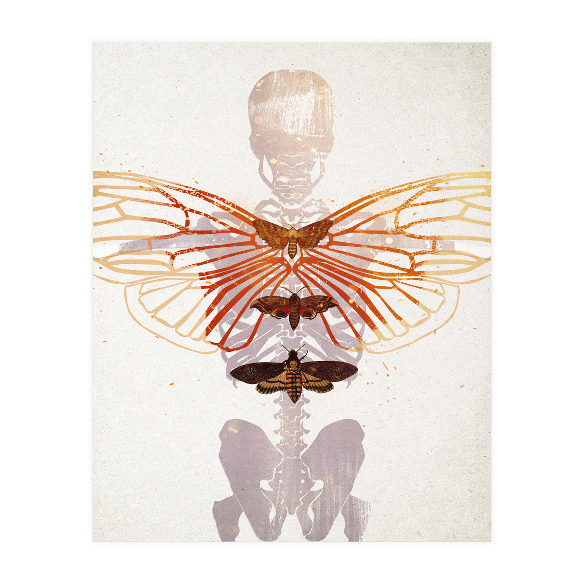 Ikarus - Like a Moth to the Flame (Print Only)