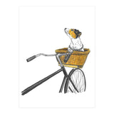 Dog In Basket (Print Only) thumbnail