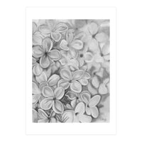 The Essence Of Spring in Monochrome (Print Only)