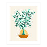 Emerald Ficus Sunset (Print Only) thumbnail