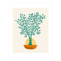 Emerald Ficus Sunset (Print Only)