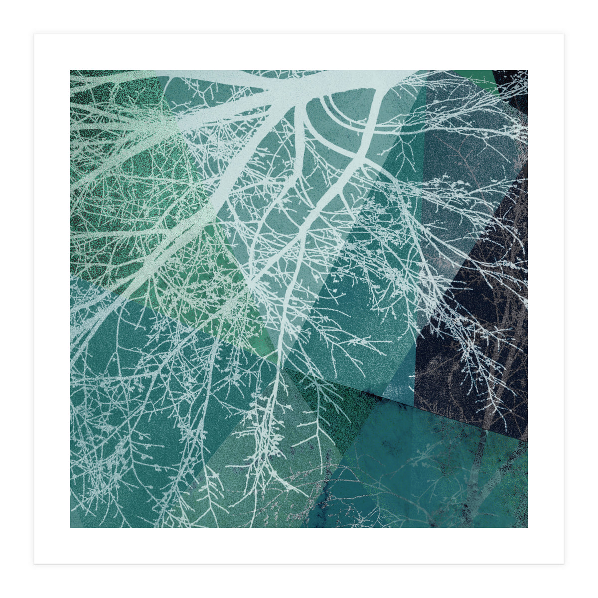 P19-E3 Trees and Triangles (Print Only)