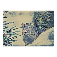 Snow Leopard (Print Only)