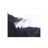 Mystery Fog (Print Only) thumbnail