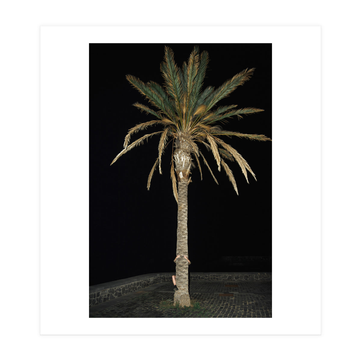 Facepalm (Print Only)