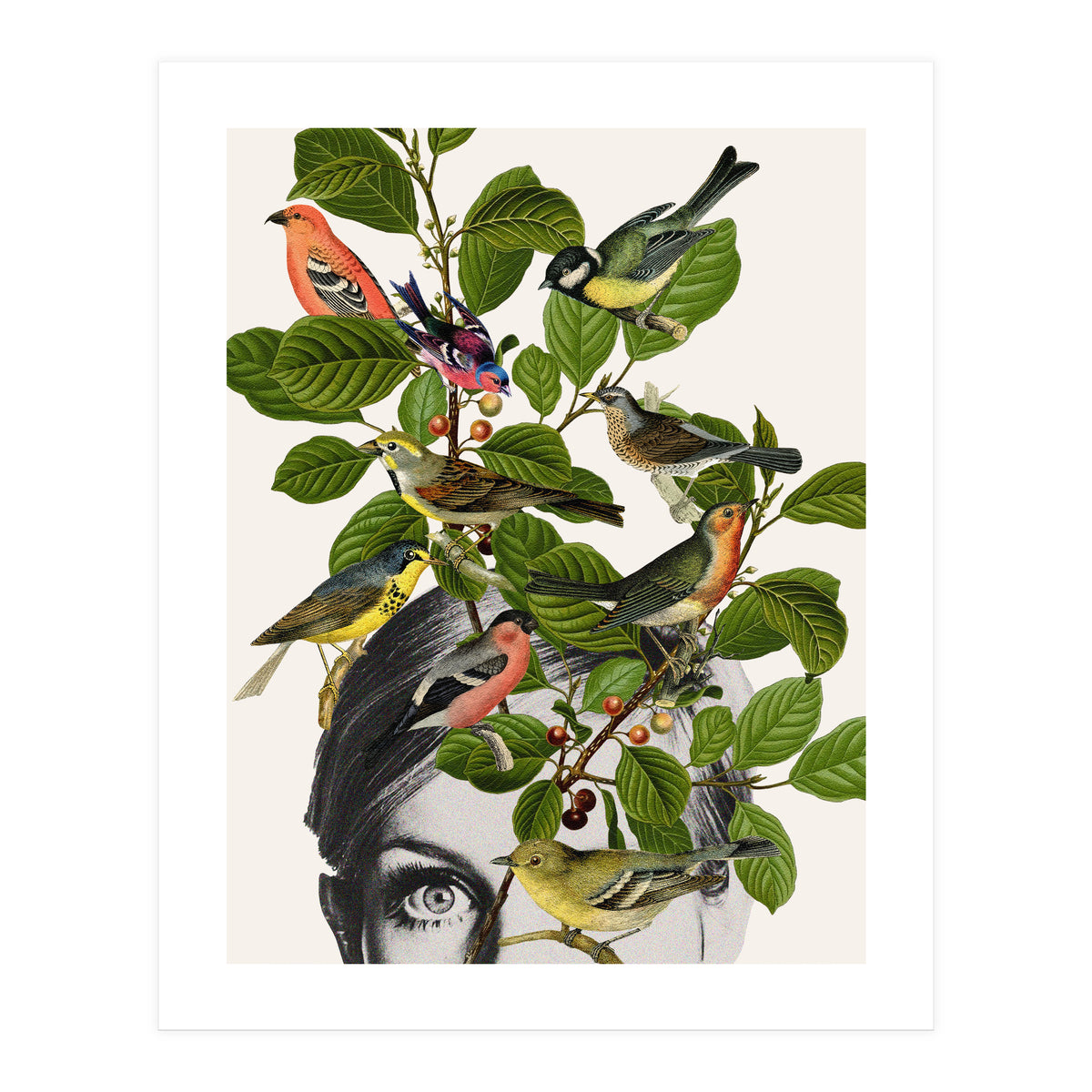 Twiggy Eyes (Print Only)