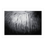 hair (Print Only) thumbnail